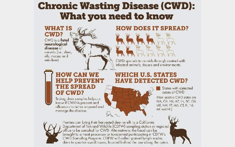 Chronic Wasting Disease Confirmed in CA- Hunters Cautioned