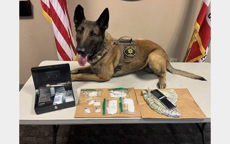 After 6 Years LCSO K9 Hank Retires