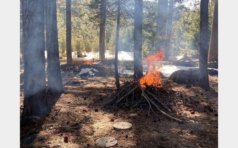 Plumas National Forest Gears-Up for Fall RX Burns