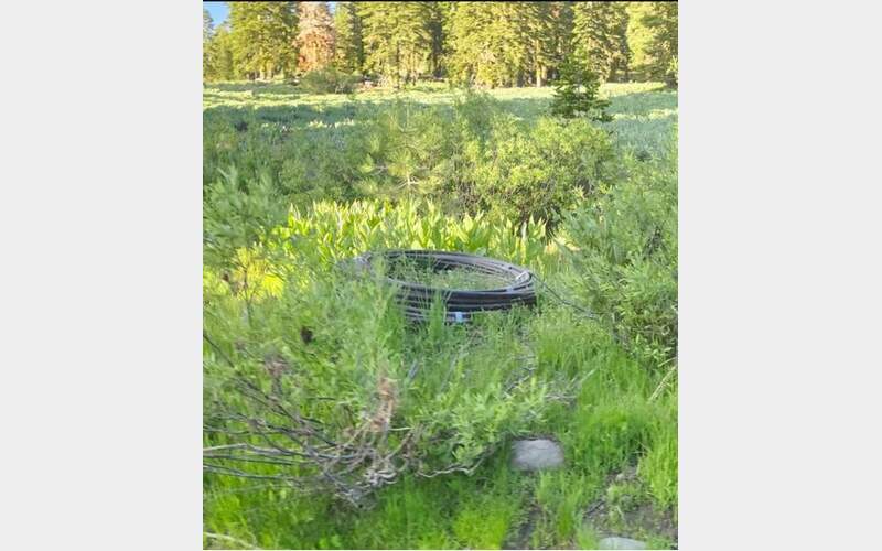 Community Outcry as Rainbow Family Gathering Sparks Wildfire Fears and Cultural Tensions