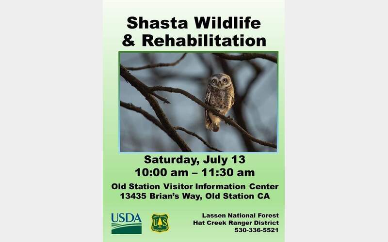 Shasta Wildlife Rescue Celebrates National Forest Week with Special Event