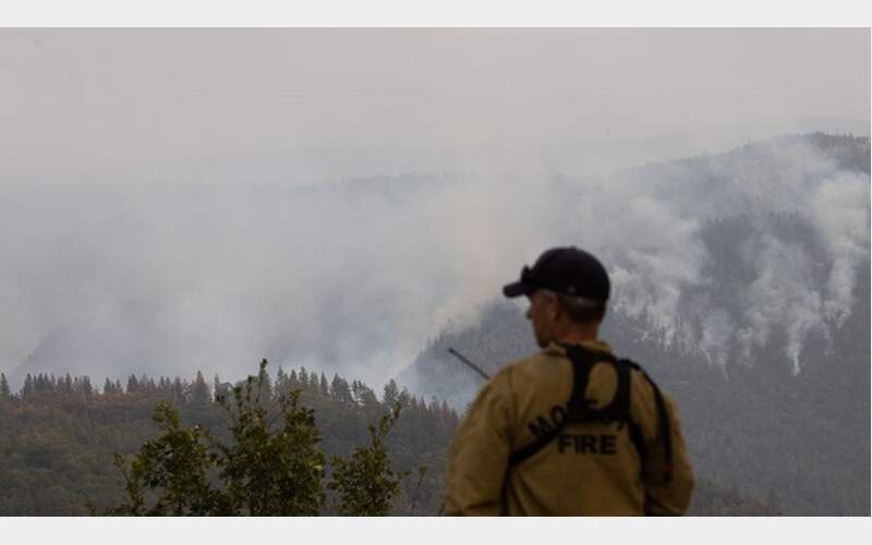 Taylorsville Community Defense Zone Project Completed to Bolster Wildfire Resilience