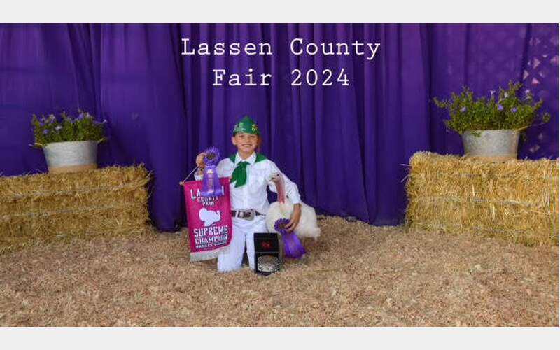 The Lassen County Fair’s Junior Livestock Auction saw impressive participation and results, generating over $370,020.