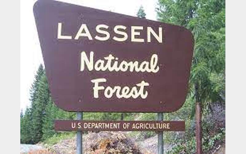 Lassen National Forest Begins Restoration Project