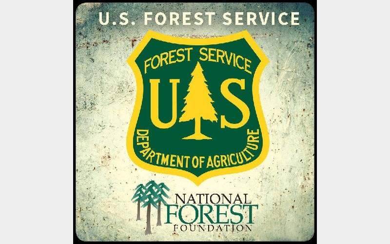 Year-Long Visitor Survey Underway in the Plumas National Forest
