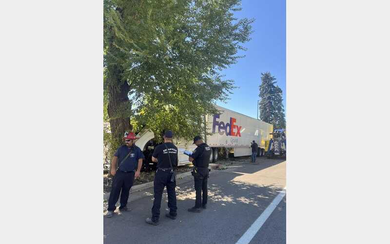 Crews Clear Collision Between Semi and Tree