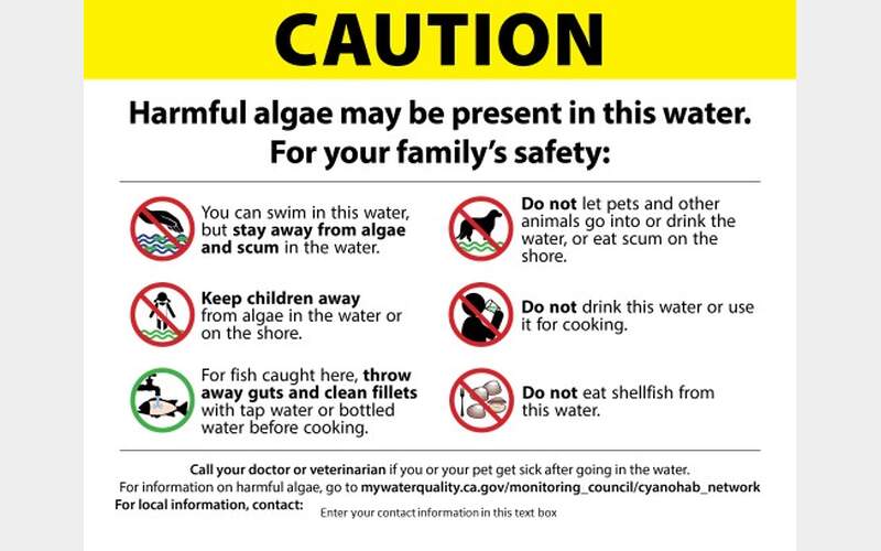 Viral Social Media Post Sparks Concerns Over Potential Toxic Algae at Eagle Lake