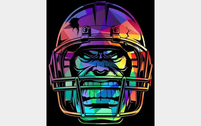 LHS Football Hosts First Home Game of the Season