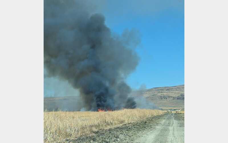 Calfire Advances Wendel Project with Major Fuels Reduction Effort