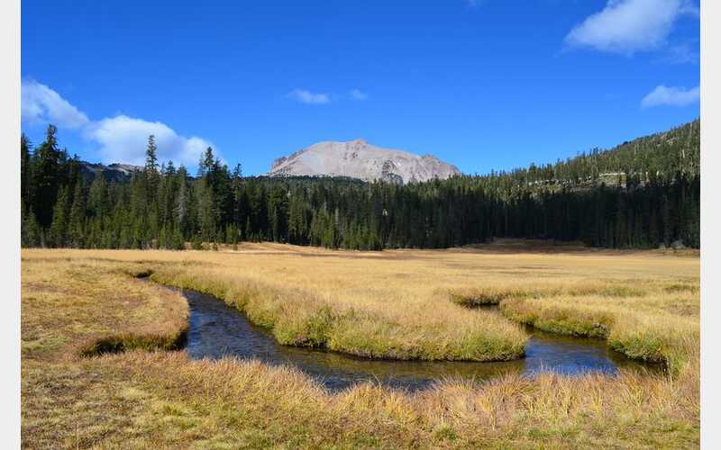 Hazard Trees to be Removed in Kings Creek Area of Lassen National Park