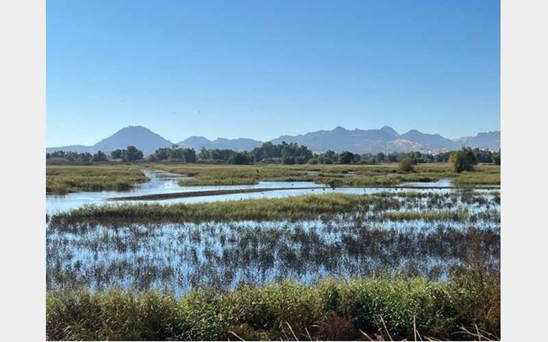 Prime Wetland Conditions Awaiting Waterfowl Hunters at State-Operated Public Hunt Areas