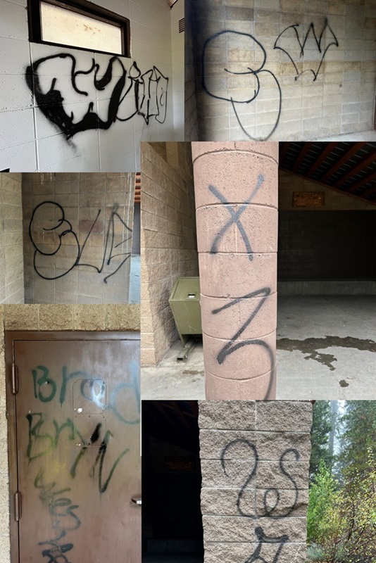 Morgan Summit Snowmobile Park Vandalized