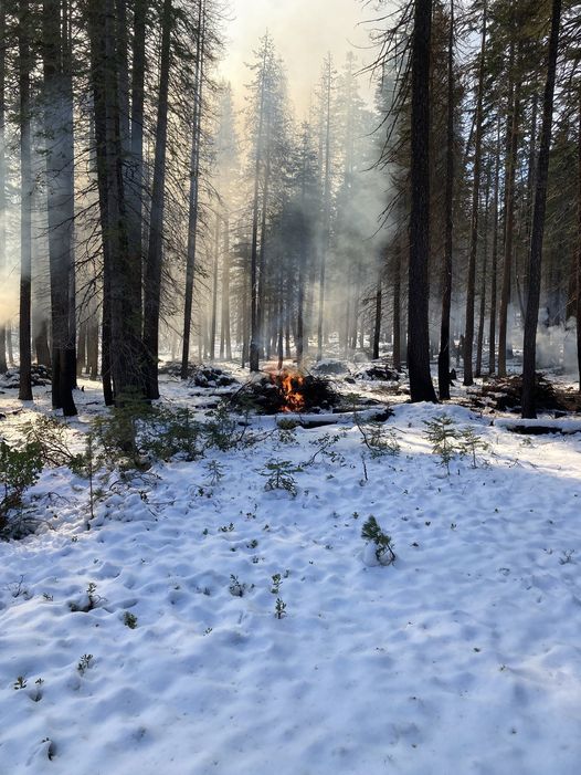 Expect Smoke as Prescribed Fire Operations Continue on the Lassen National Forest