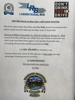 Ring in the New Year Safely with Free Rides in Susanville