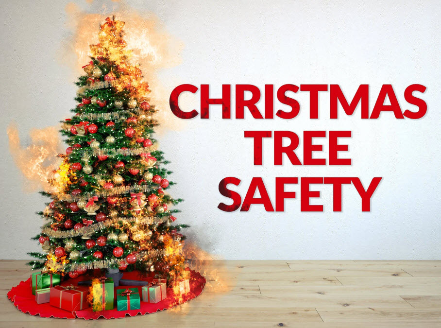 Stay Safe This Holiday Season by Preventing Christmas Tree Fires