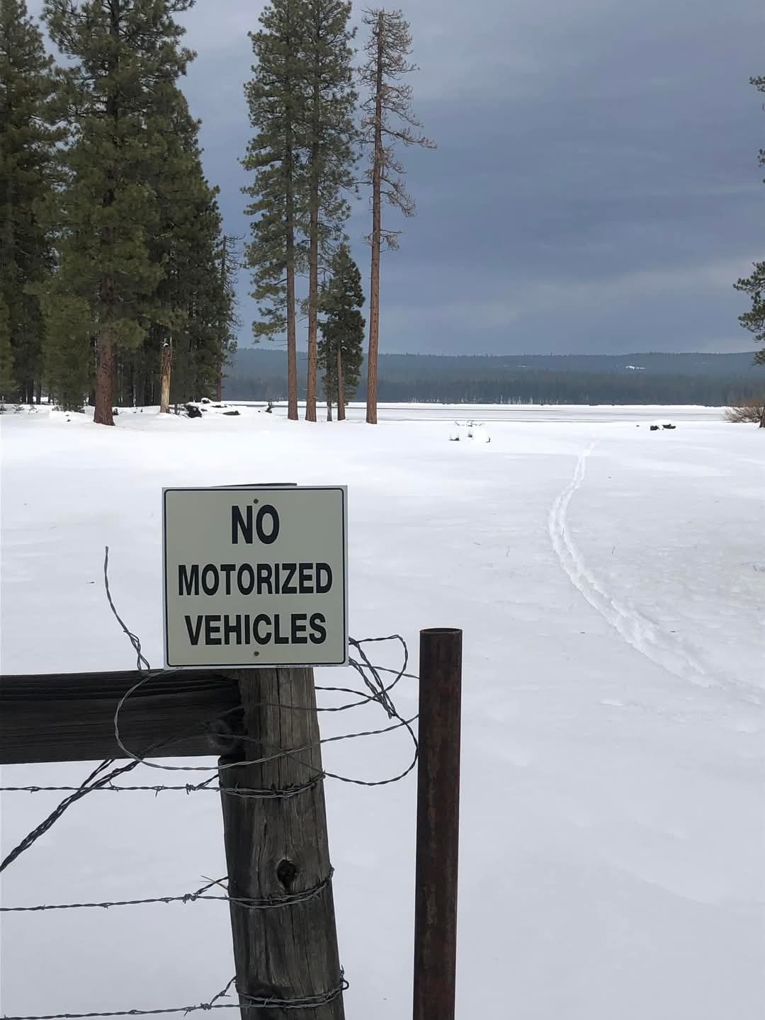 Lassen National Forest Restrictions