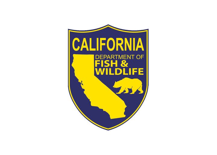 $1.1 Million Restoration Effort to Revitalize Mugu Lagoon Wetlands After 2011 Plane Crash