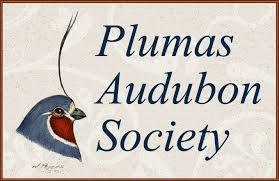 Join the Flock for Plumas Audubons Annual Bird Counting Adventure