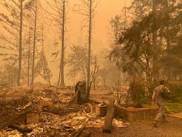 Legislation to Provide Disaster Tax Relief, Including Tax Exemption of Wildfire Settlement Payments, Passes Through the Senate
