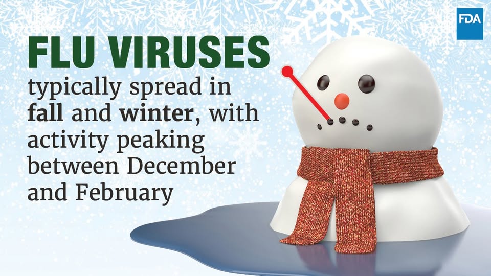 Get Your Flu Vaccine Before the Holidays in Plumas County