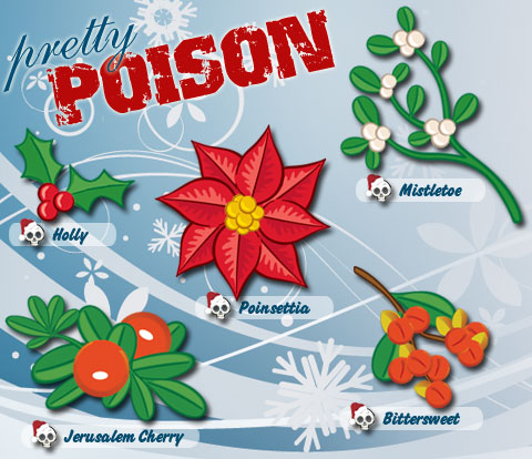 Holiday Plants Help Make Your Yule Cool but They Can Have a Dark Side