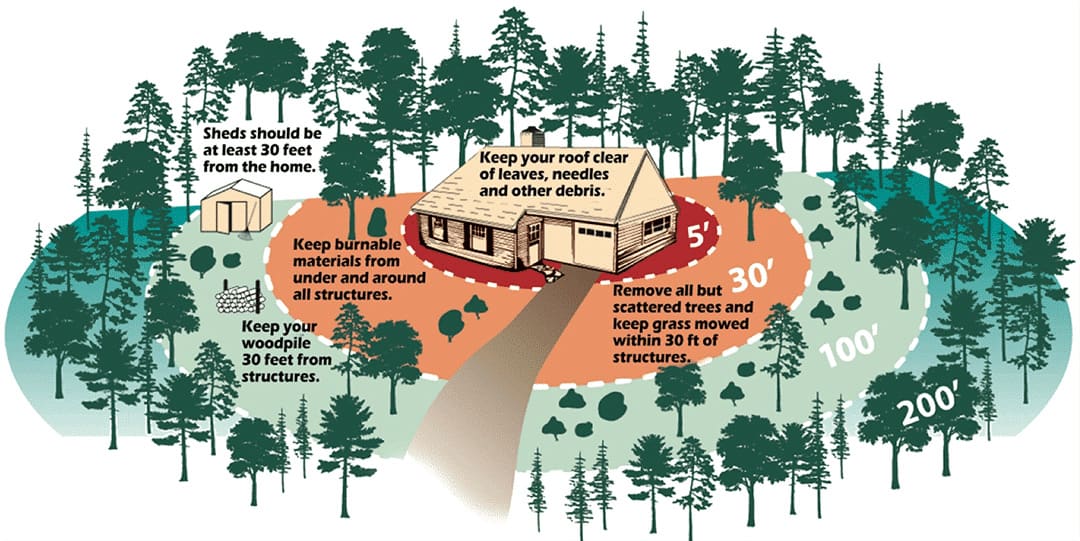 Protect Your Home with Budget-Friendly Defensible Space Strategies