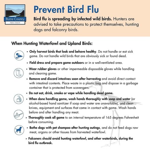 Alert for Hunters and Bird Handlers Amid Bird Flu Outbreak