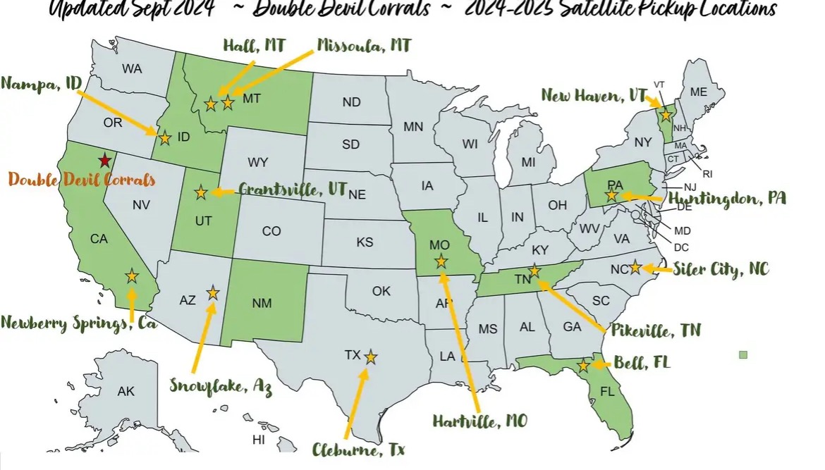 New Requirements for Adopting Horses from Double Devil Wild Horse Corrals