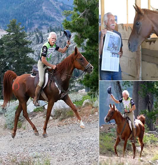 Saddle Up for Success A 72-Year-Old Rider Defies Age in Grueling 100-Mile Race