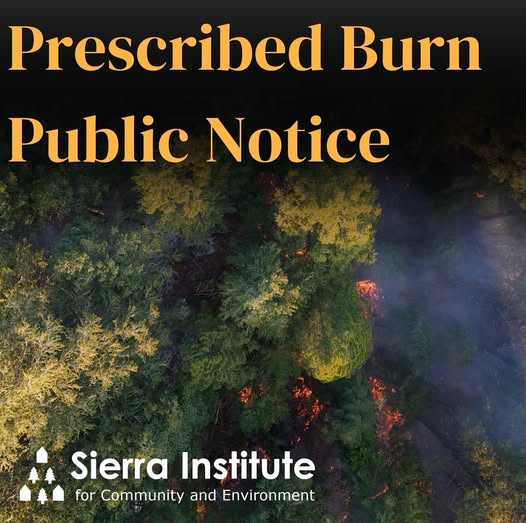 Controlled Burn to Resume in Taylorsville CA for Wildfire Prevention