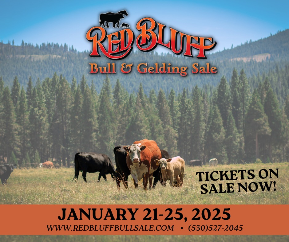 Dont Miss Out on Discounted Passes to the 84th Red Bluff Bull & Gelding Sale