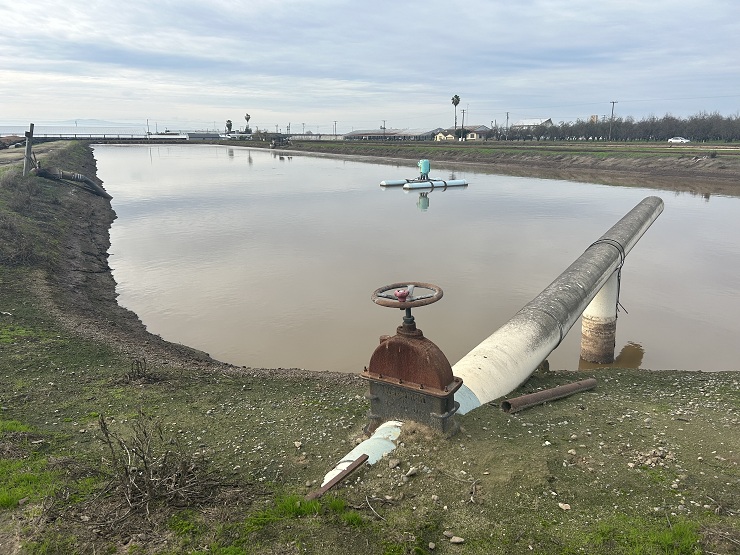 California Dairies Face Stricter Water Quality Regulations Amid Nitrate Concerns