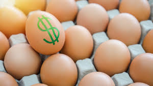 Rising Egg Prices: Impact of Bird Flu and Cage-Free Legislation