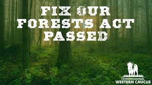 New Legislation Aims to Tackle Wildfire Threat with Enhanced Forest Management