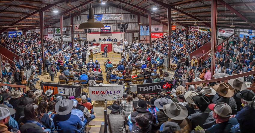 84th Red Bluff Results