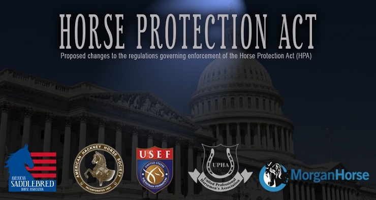 A Presidential Pause for the Horse Industry: Navigating the Future of Equine Regulations