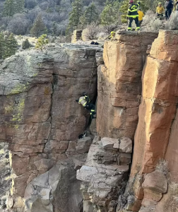 Heroic Team Effort Saves Dog from Cliff Ledge in Dramatic Rescue