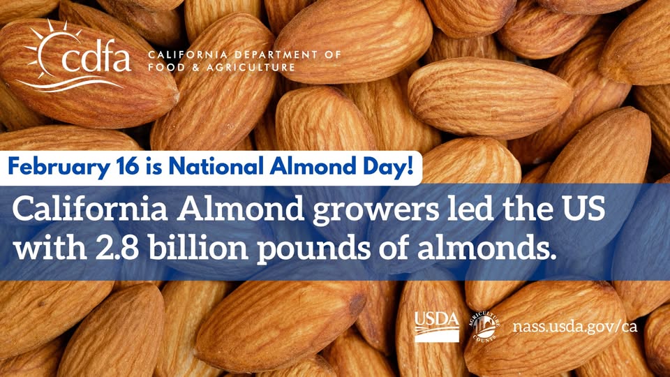 Celebrate California’s Almond Legacy on National Almond Day 2025