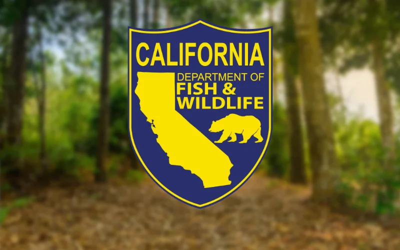 California Wildlife Department Seeks Public Input on Statewide Deer Conservation Plan in Bishop Meeting