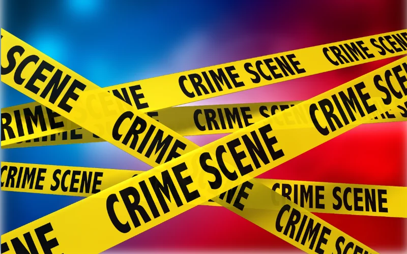 Human Remains Discovered in Mendocino National Forest, Investigation Underway