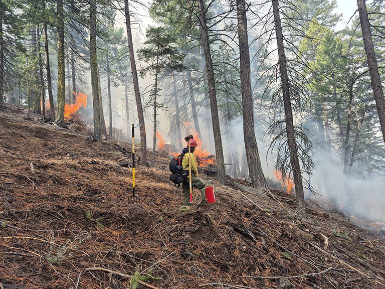 Plumas National Forest Completes Successful Pile Burn Treatments Across Key Areas