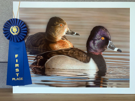 Enter the 2025-26 California Duck Stamp Art Contest to Showcase Your Talent and Support Wildlife Conservation