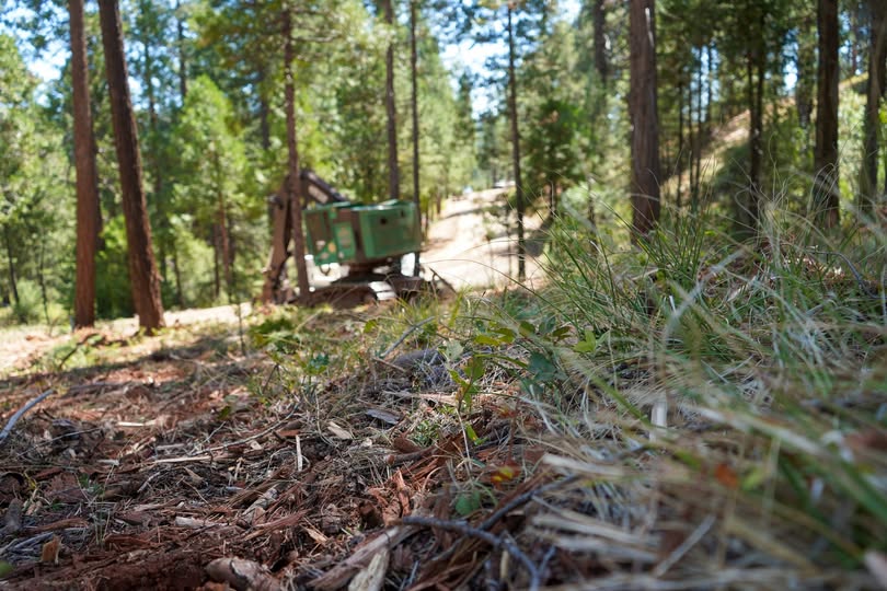 Tahoe National Forest Seeks Public Input on Wildfire Mitigation Projects