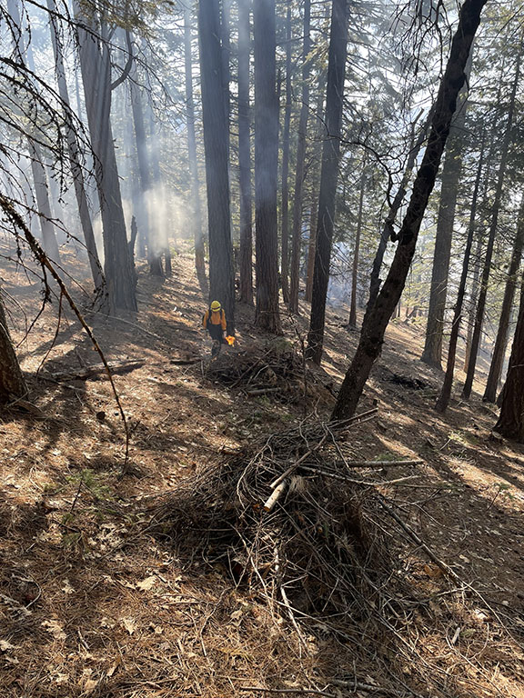 Successful Completion of Spring Pile Burning at Plumas National Forest