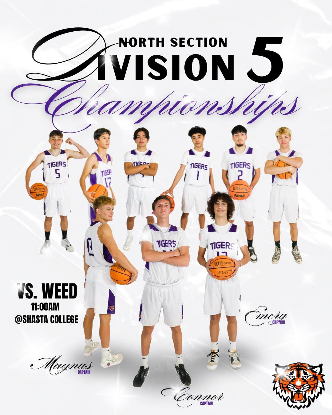 Cheer on Our Tigers at the Division 5 Championships Today