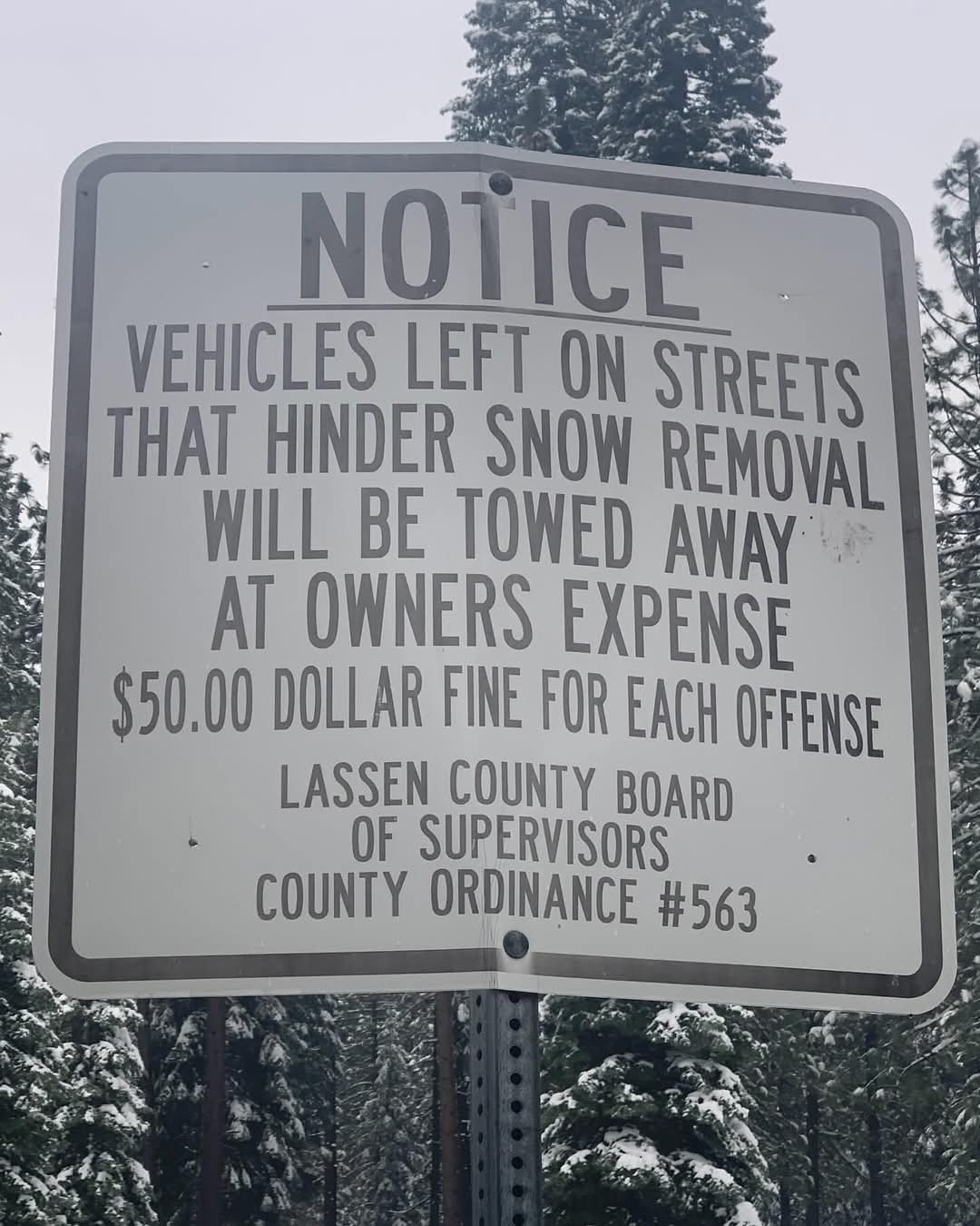 Keep Roads Clear During Storms to Avoid Towing and Ensure Safety