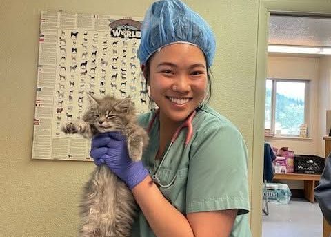 Community Effort Tackles Feral Cat Overpopulation in Plumas County with Biannual Spayathons