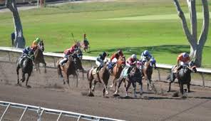 Historic Alameda County Fairgrounds Horse Racing Track Closes Amid Industry Shifts