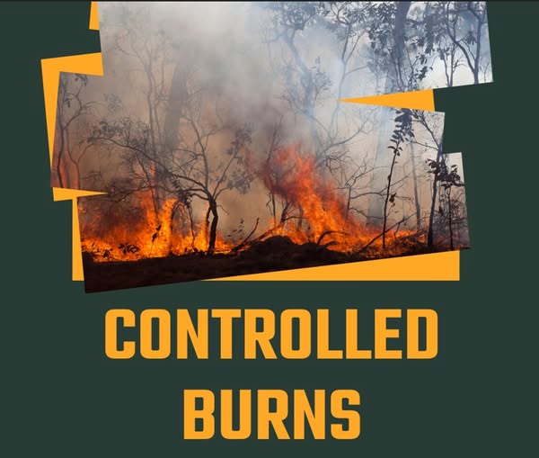 Feather River Ranger District Conducts Pile Burning for Fuel Reduction and Community Protection