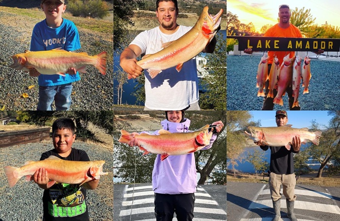 Fishing Frenzy at Lake Almanor: Catch Tagged Trout Before the Derby Ends